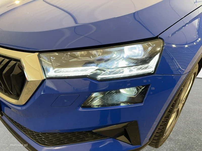 Skoda Karoq I 9