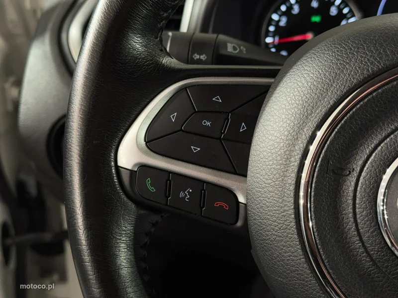 Jeep Renegade 15