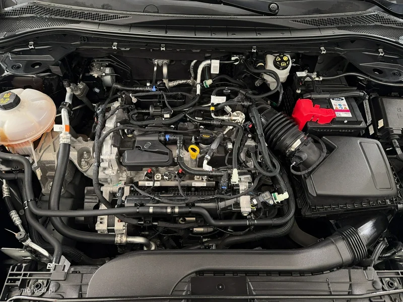 Ford Kuga III 30