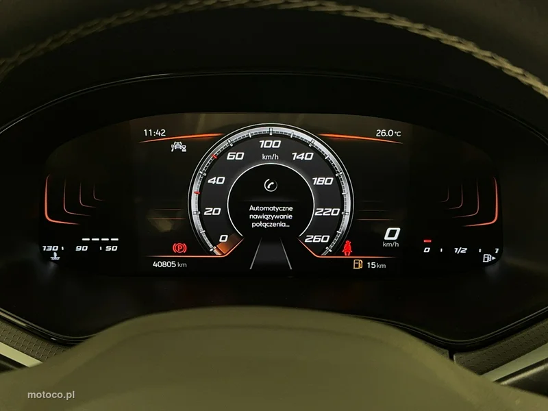Seat Ibiza 19