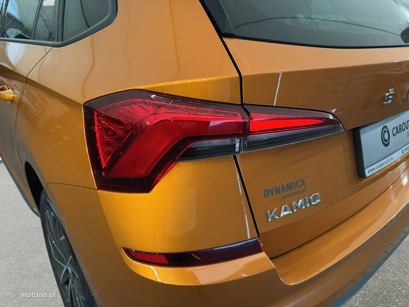 Skoda Kamiq I 11