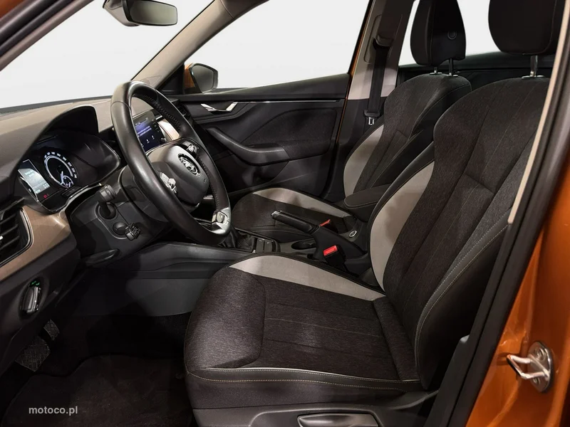 Skoda Kamiq I 14