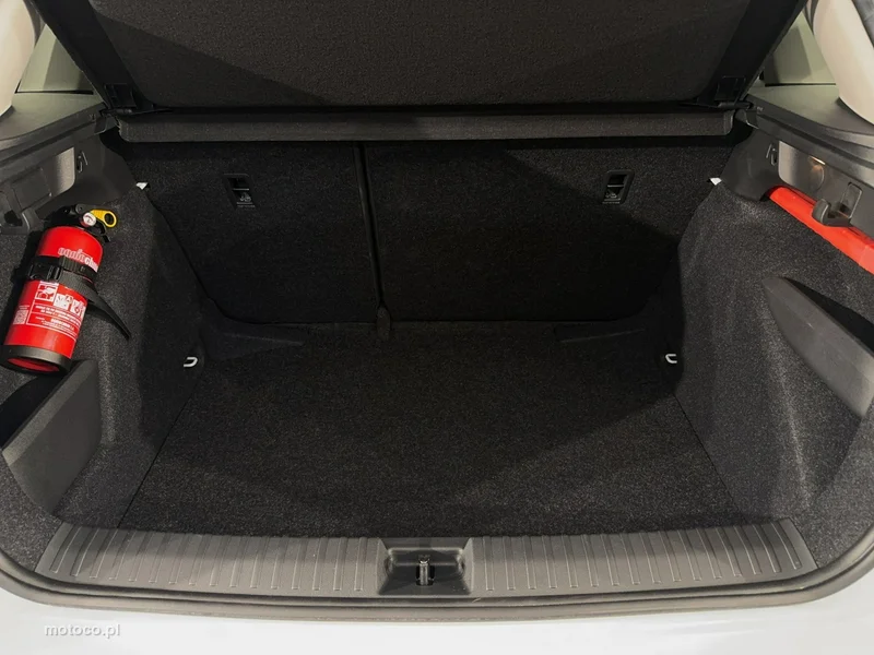 Skoda Kamiq I 15