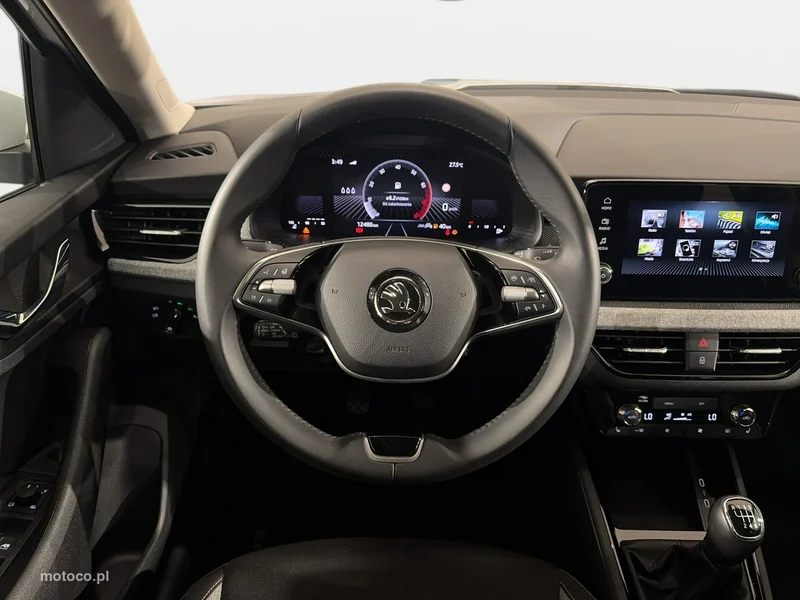 Skoda Kamiq I 17