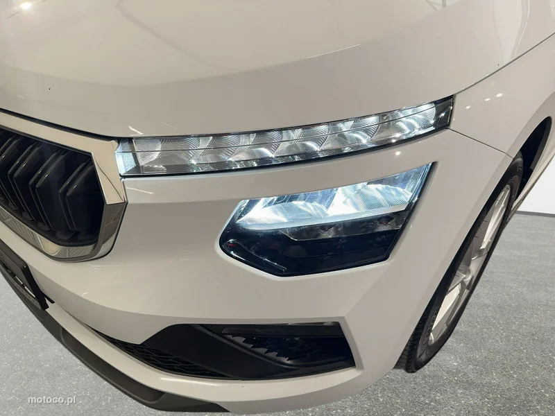 Skoda Kamiq I 9
