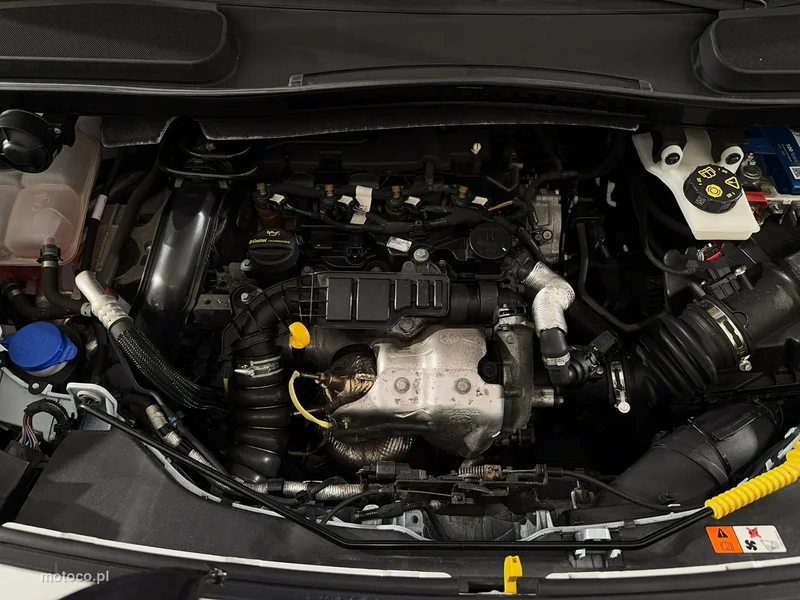 Ford Tourneo Connect 28