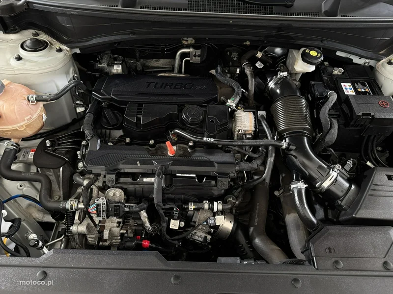 Kia Sportage 30