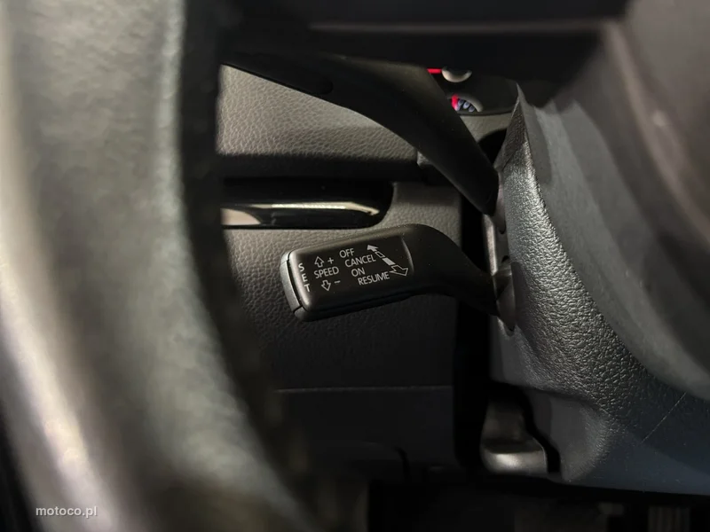Seat Alhambra 17