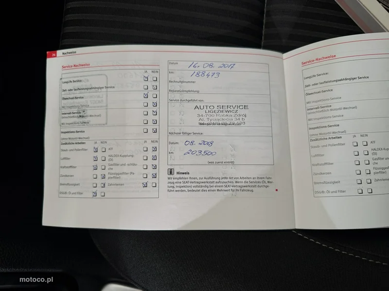 Seat Alhambra 31