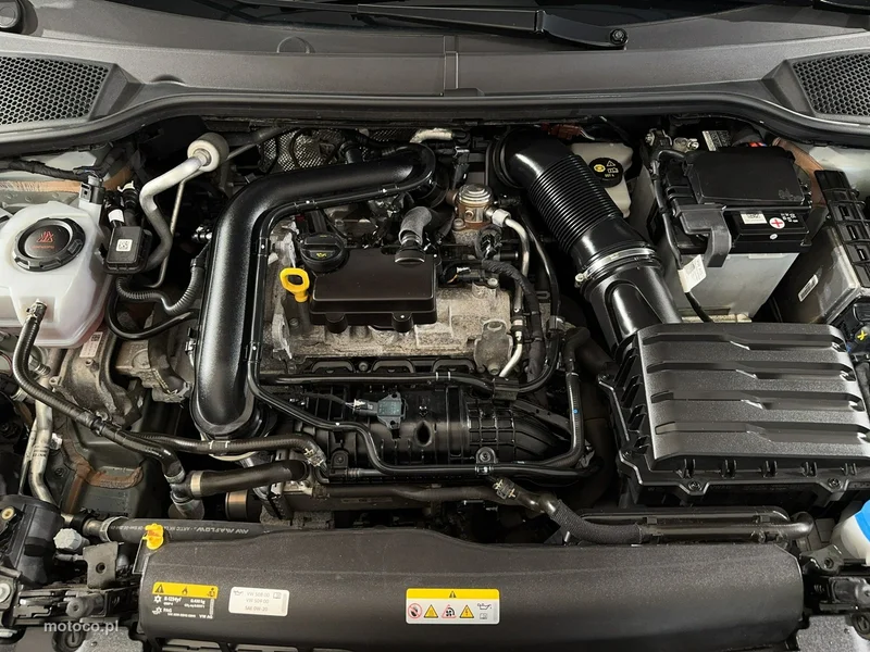 Seat Ibiza 25