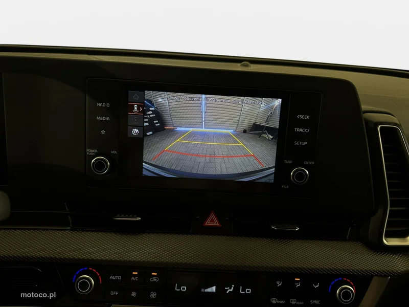 Kia Sportage 22