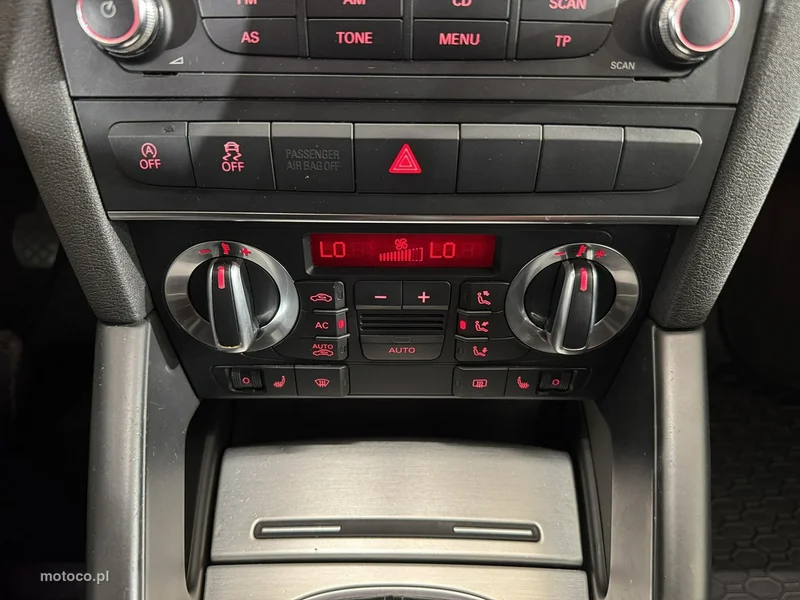 Audi A3 8P 17