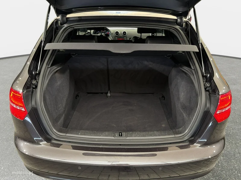 Audi A3 8P 19