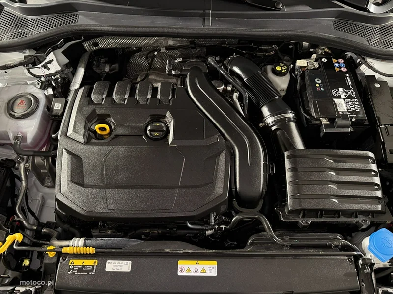 Cupra Leon 29