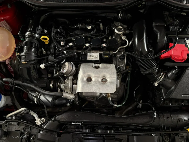 Ford Fiesta VII 25