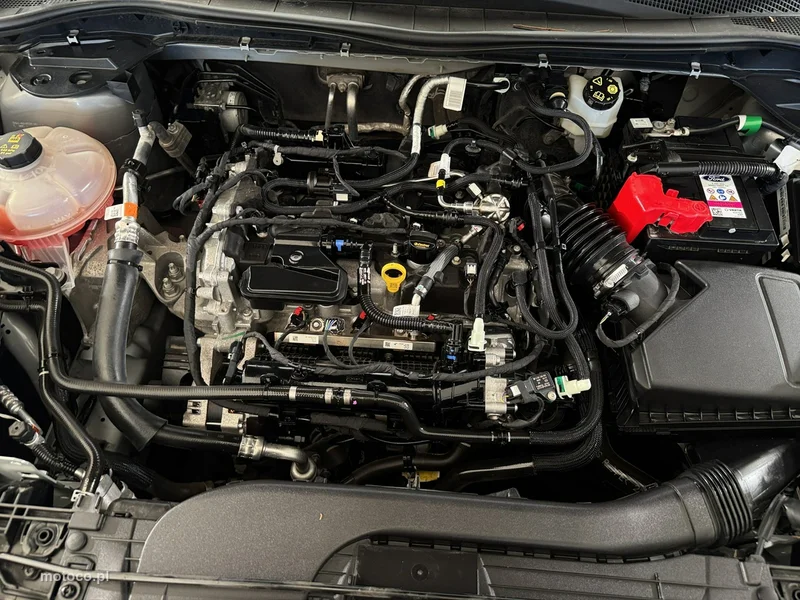 Ford Kuga III 32