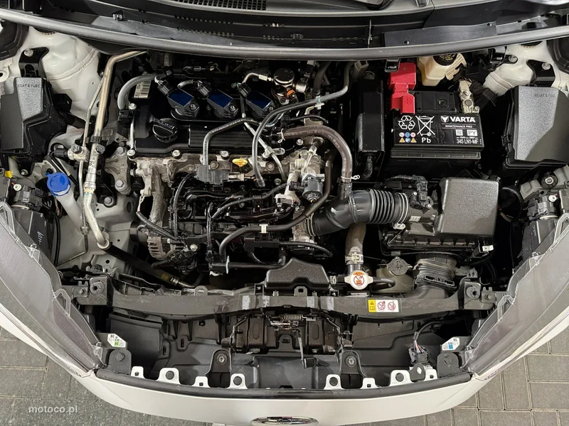 Toyota Yaris XP210 24