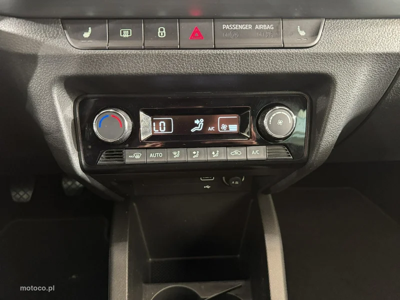 Skoda Fabia III 20