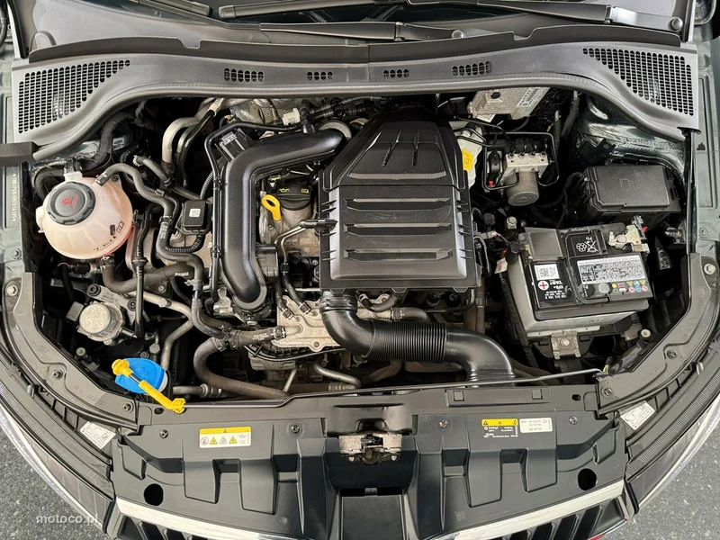 Skoda Fabia III 25
