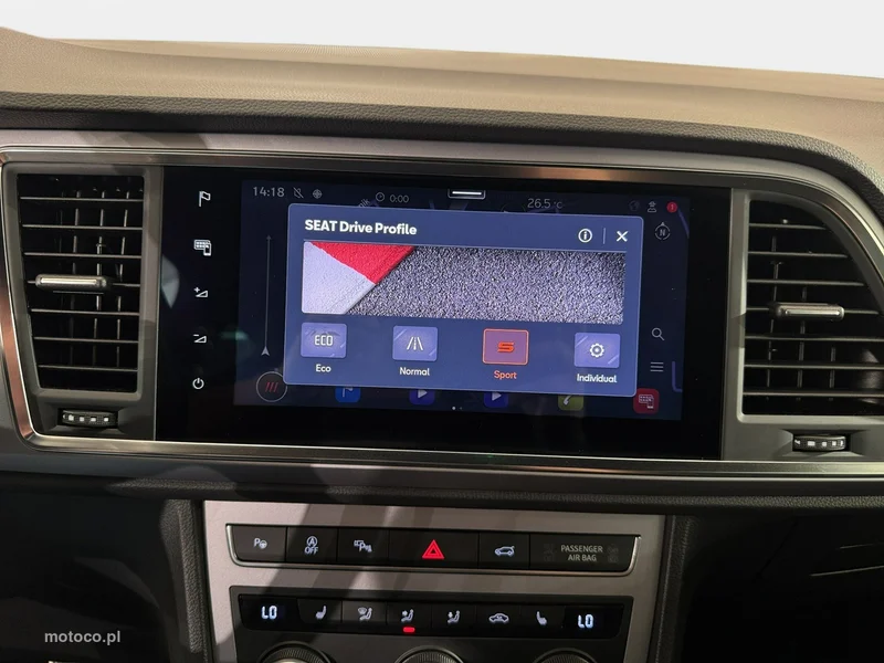 Seat Ateca 24