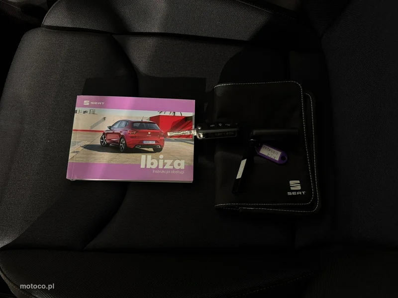 Seat Ibiza 31