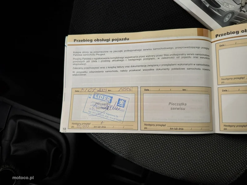 Peugeot 207 22