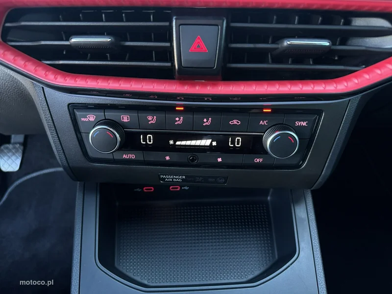 Seat Ibiza 22