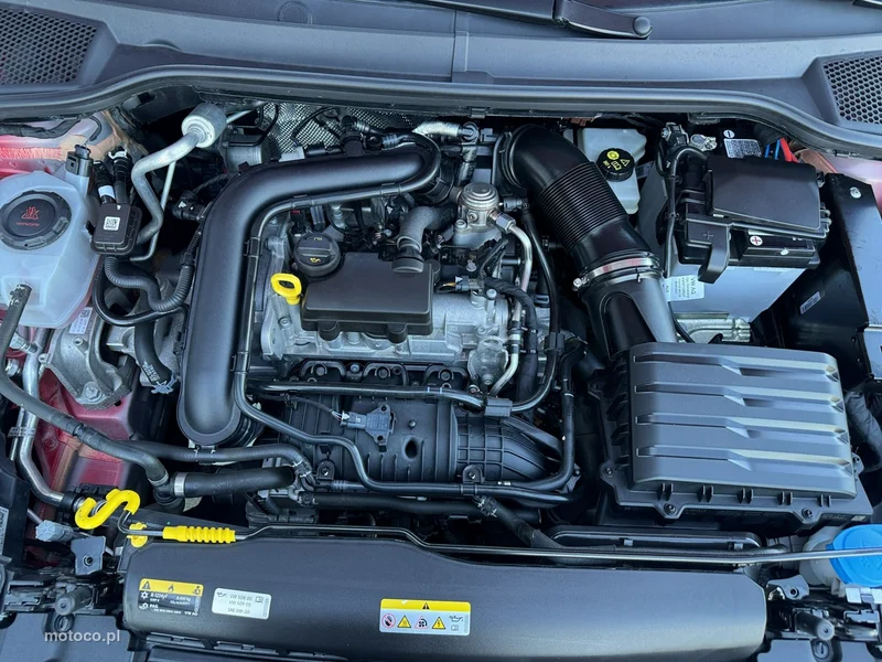 Seat Ibiza 31