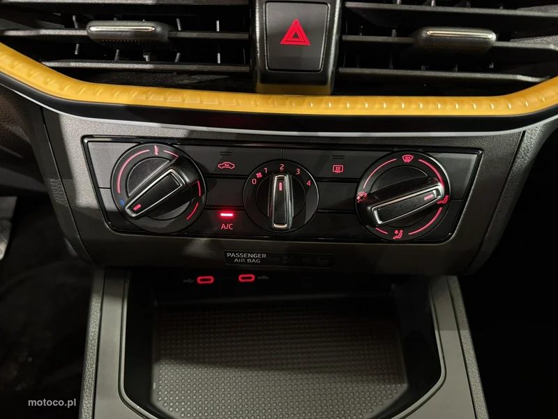 Seat Ibiza 19