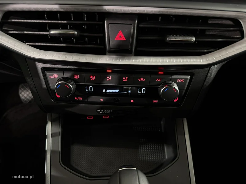 Seat Ibiza 22
