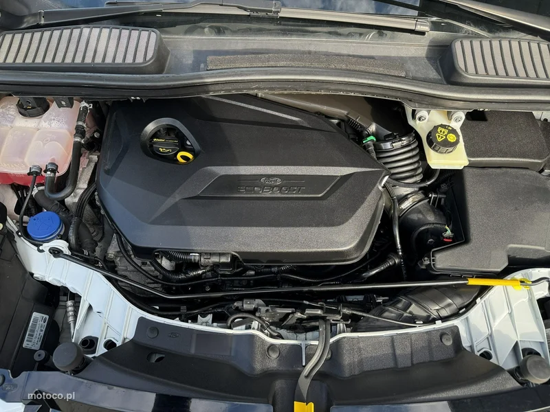 Ford C-Max II 24