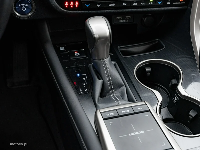 Lexus RX 17