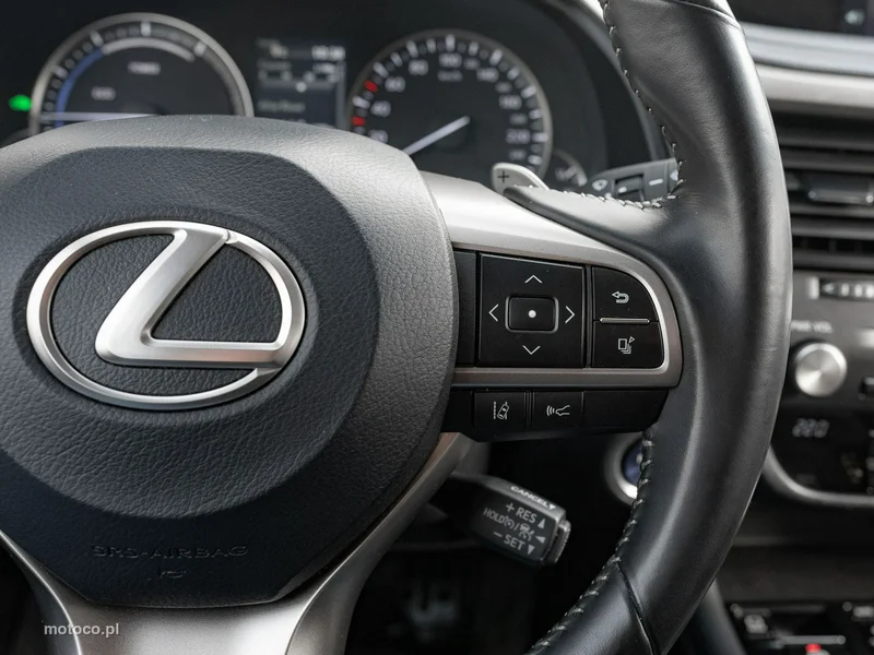 Lexus RX 16