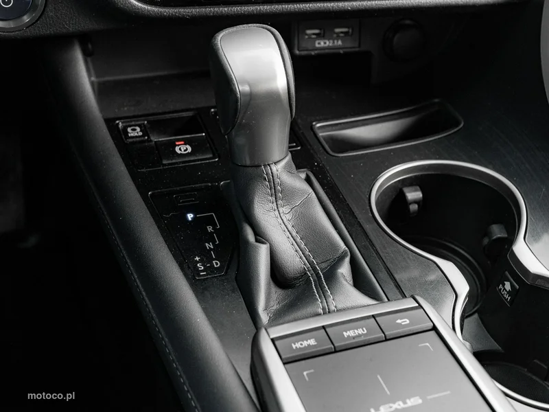 Lexus RX 17