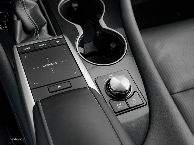Lexus RX 18