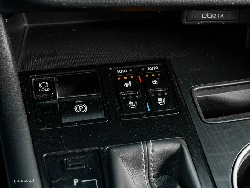 Lexus RX 19