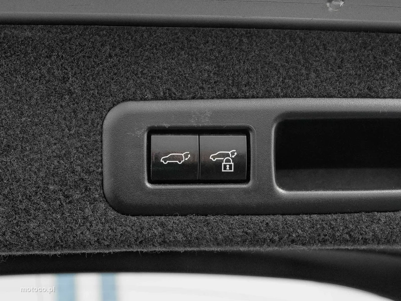Lexus RX 31