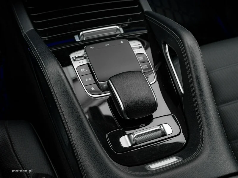 Mercedes-Benz GLE W167 GLE 300 18