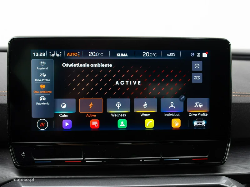 Cupra Formentor 26