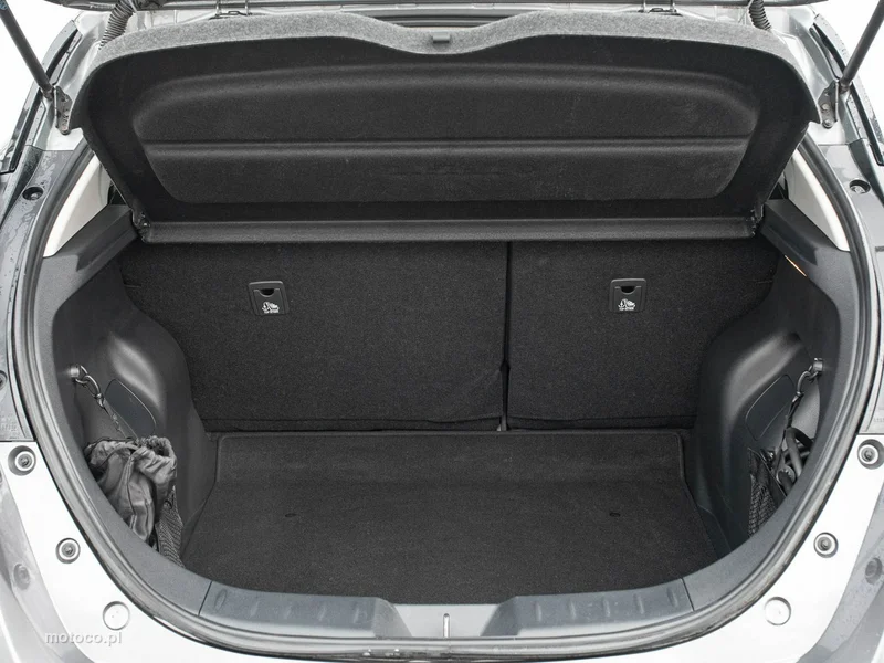 Nissan Leaf 25