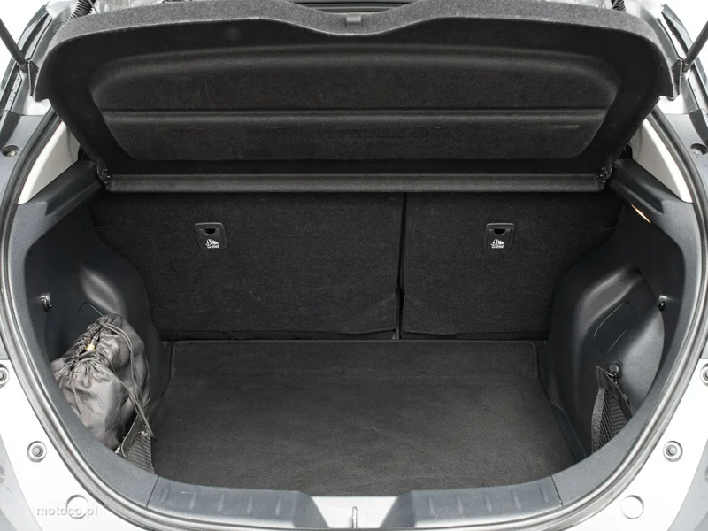 Nissan Leaf 29
