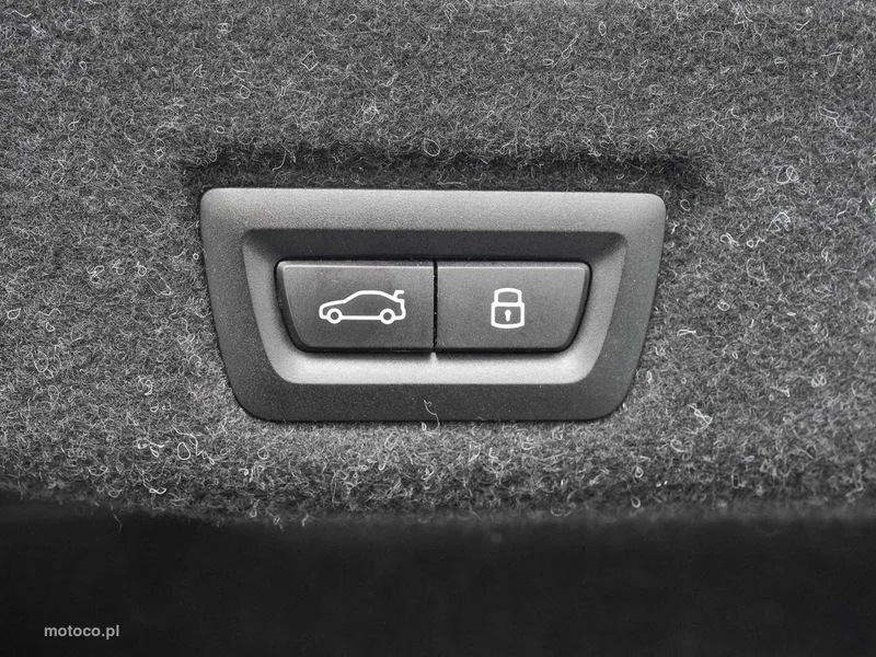 BMW Seria 5 G60 520 31