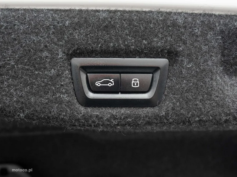 BMW Seria 5 G60 520 29