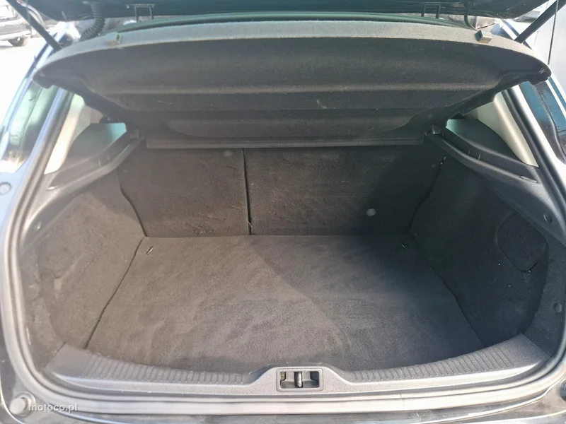 Renault Megane III 22