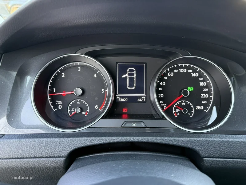 Volkswagen Golf VII 19