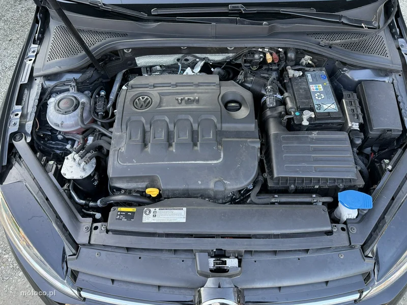 Volkswagen Golf VII 30