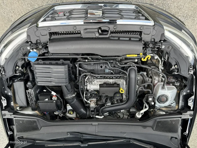 Seat Ibiza 38