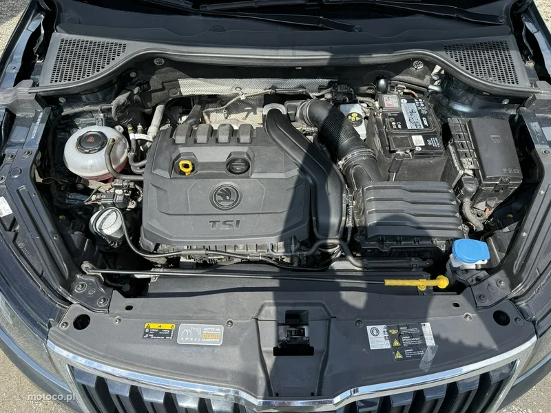 Skoda Karoq I 22