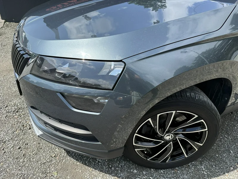Skoda Karoq I 10