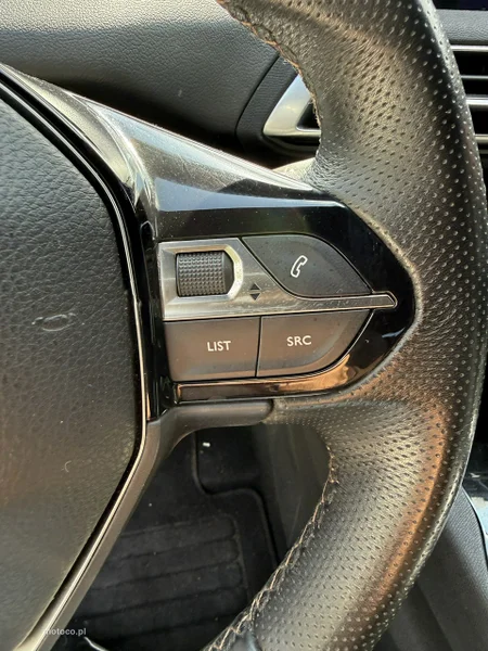 Peugeot 3008 25